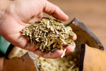 Yerba Mate